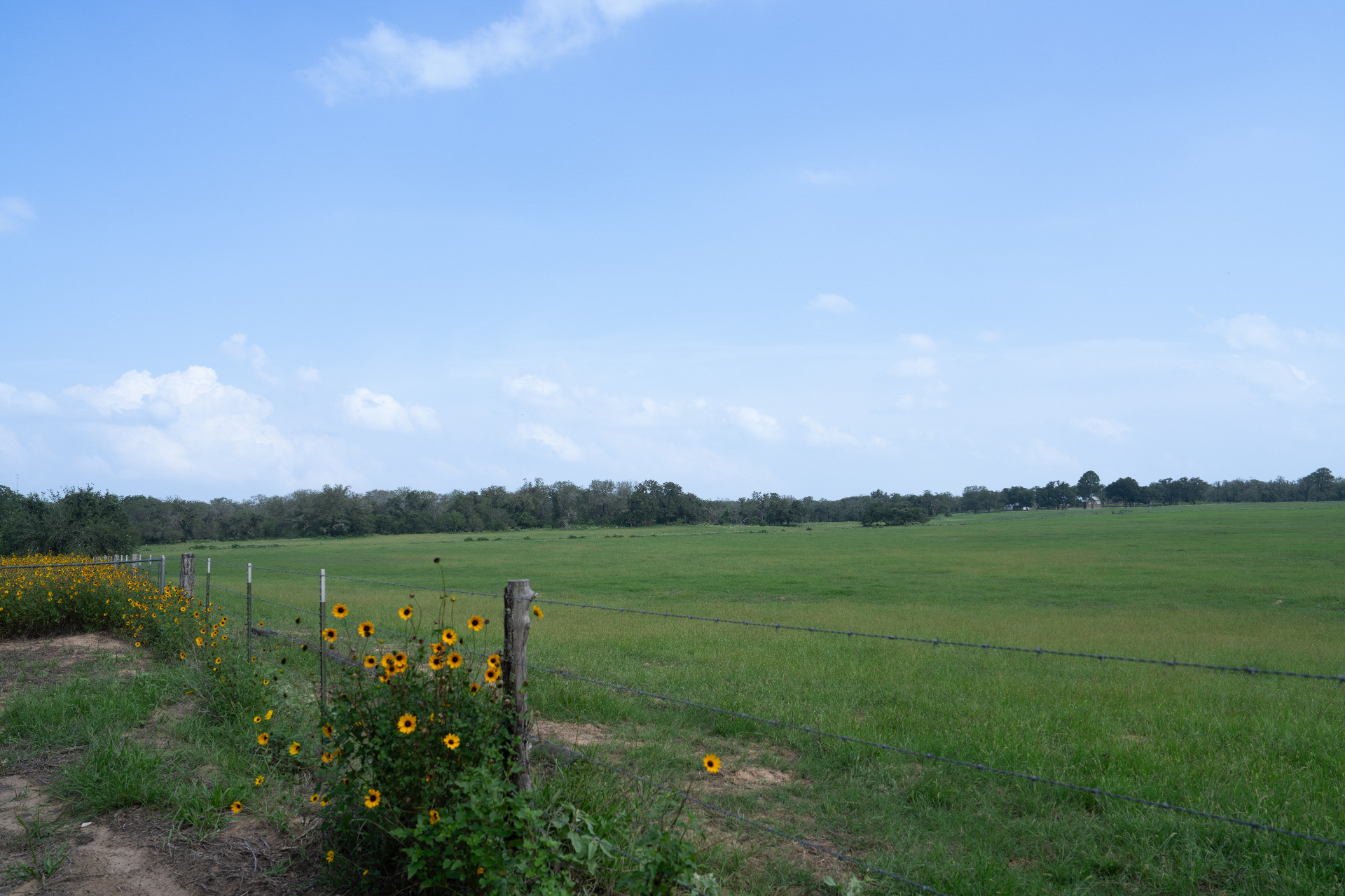 Wide green ranch view behind the property in La Vernia, Texas